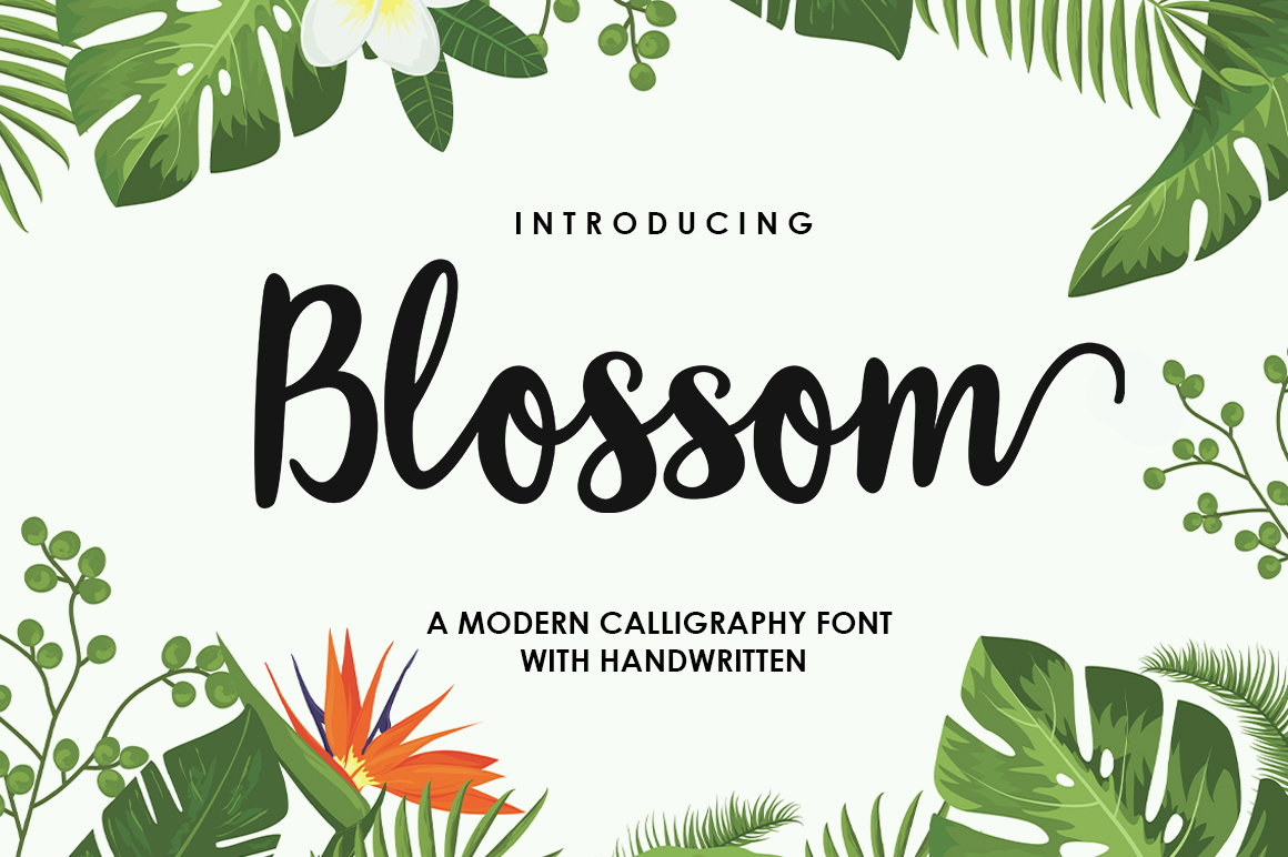 Blossom Script Font: Elegant Design with Swashes
