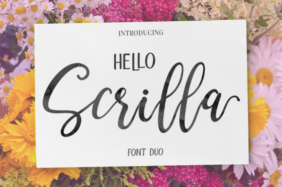 Discover the Elegance of Hello Scrilla Script