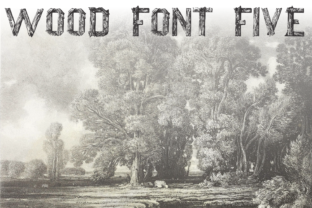 Wood Font Five: A Natural Display Typeface for Creative Projects